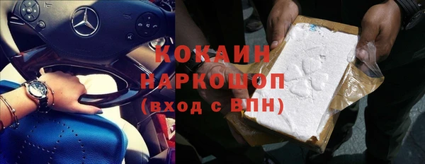 дживик Каменка