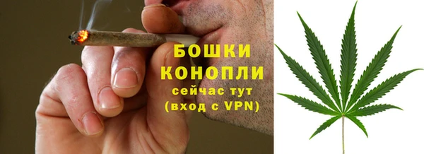 дживик Каменка
