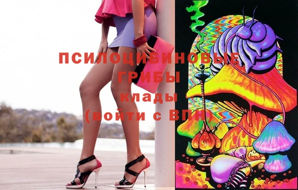 дживик Каменка