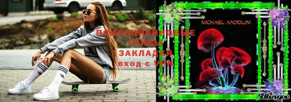 сатива Карпинск